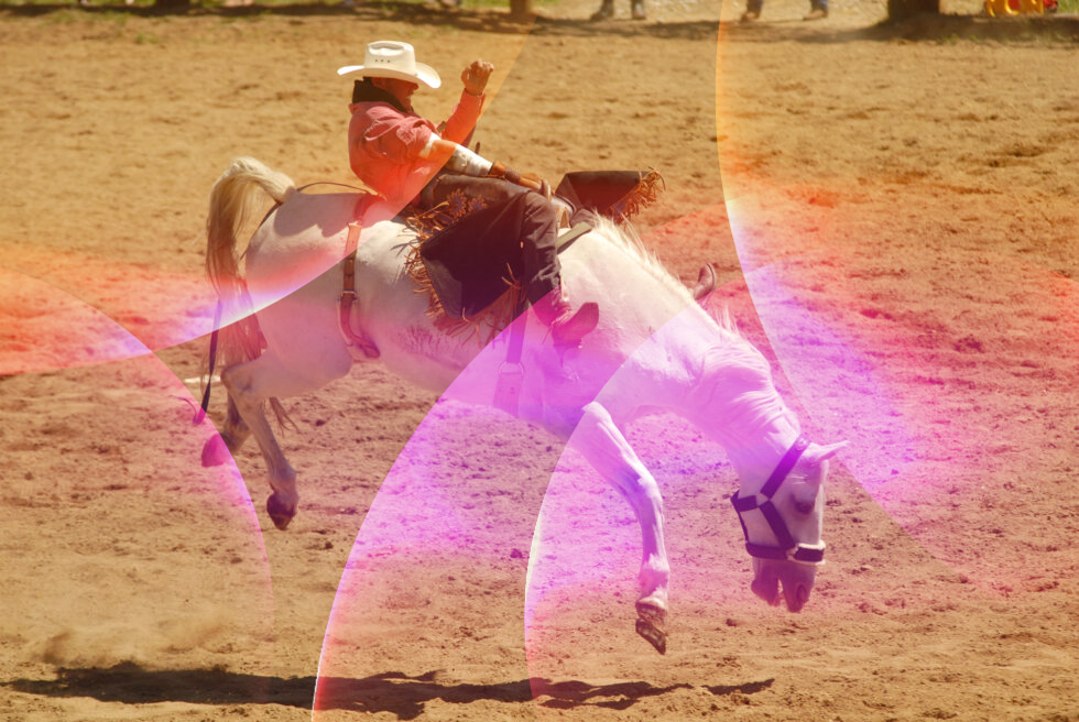 #Winning website copy that attracts, informs, enchants & converts.