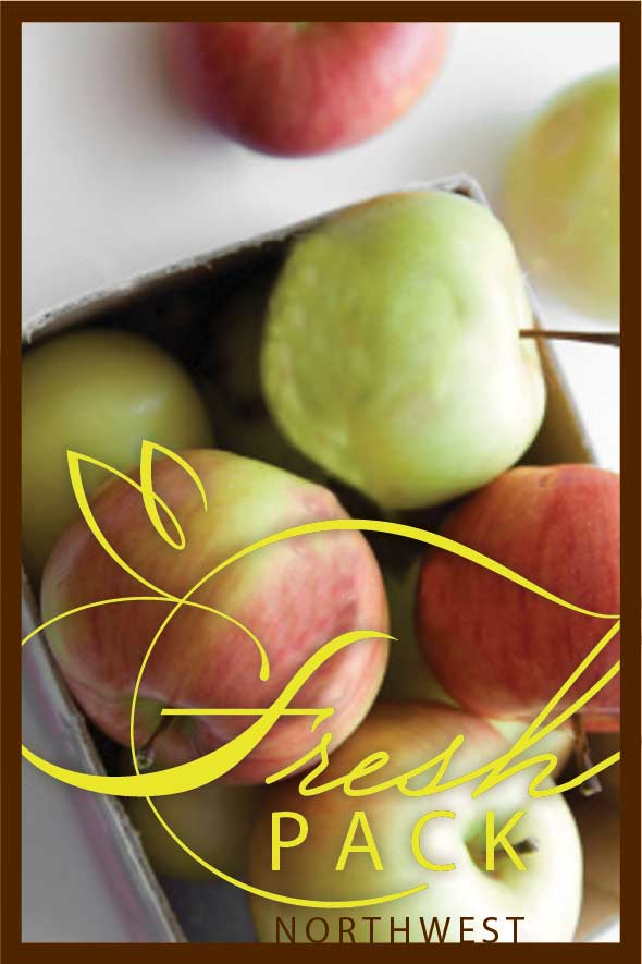 Branding Assett Design